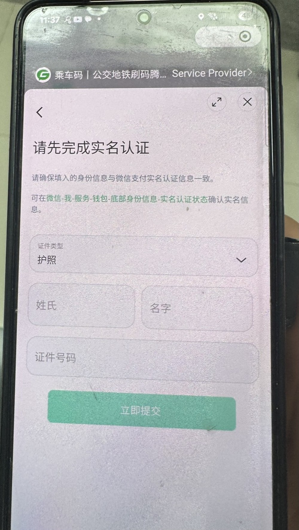 Passport details form: surname, given name, document number