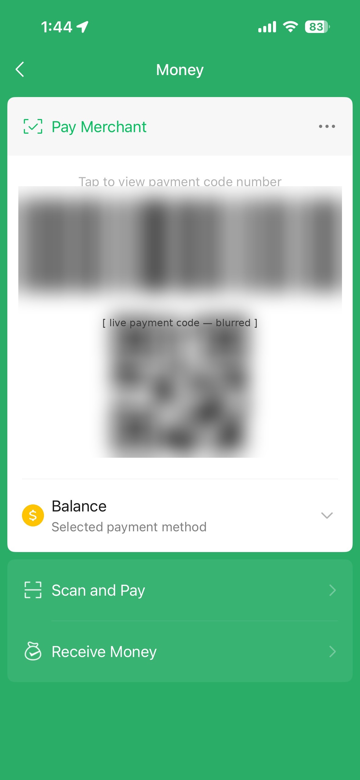 WeChat payment code screen under Money